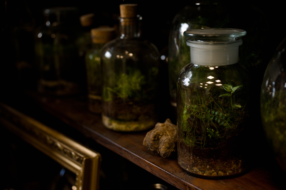 Milujeme mech atelier 11m